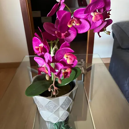 Apartman Atico La Terraza *