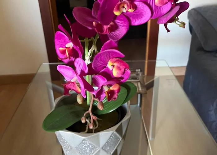 Apartman Atico La Terraza *