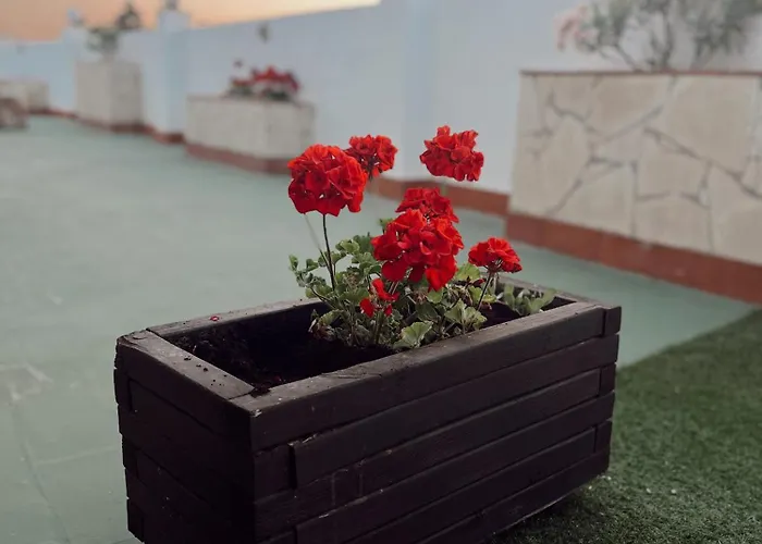 アパート Atico La Terraza フエンヒロラ